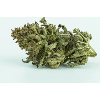 Bonbon HerbaCan BIO Konopné květy AK47 Velikost balení: 5 g