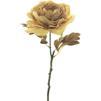 umělá květina Umělá květina Pivoňka - Paeonia větev 'Dutch' (sušená) krémová V62 cm