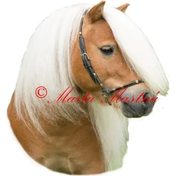 Samolepka shetland pony Locksley Permoník, kůň, koně