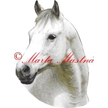 Samolepka kůň Jack, koně -archiv