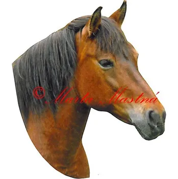 Samolepka hucul, pony, kůň, koně 93