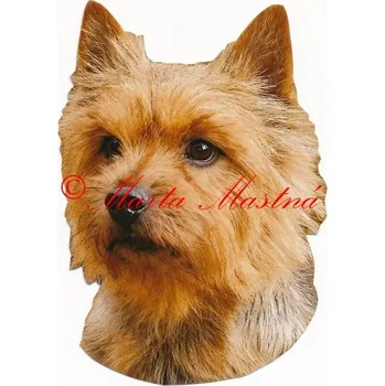 Samolepka norvič teriér, norwich 192