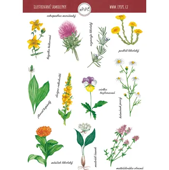 Samolepící dekorace ePipí Arch samolepek Bylinky A6 11 samolepek