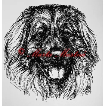 Samolepka leonberger - archiv c69 - Malá - přibližně jako pohlednice