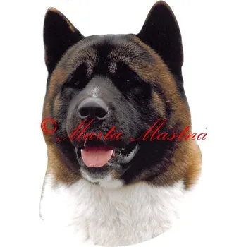 Samolepka americká akita - archiv 268