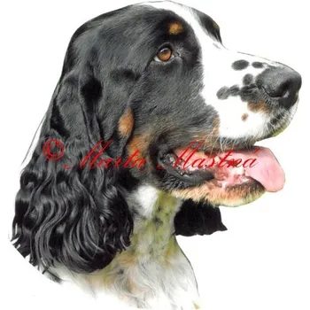 Samolepka špringršpaněl archiv 345