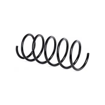 Přední pružina Renault LAGUNA 1 Grandtour (K56_) 1.616V, 1.8, 1.816V - DACO Germany