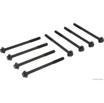 Spojovací materiál motoru Sada sroubu pro hlavy valcu HERTH+BUSS JAKOPARTS J1280917