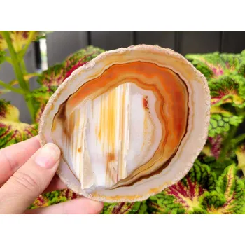 Přírodní kámen Achát leštěný medový plátek z Brazílie (114g)