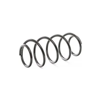 Přední pružina Opel ASTRA G Kabriolet (T98) 1.6, 1.6 16V - DACO Germany