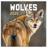 Notique Nástěnný kalendář PGP-33706-V…