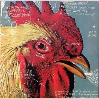 Zahraniční hudba LP Pavement: Watery, Domestic 2010 EP Vinyl