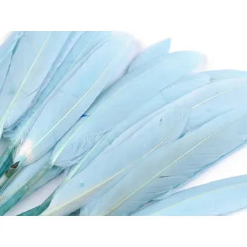 Kachní peří délka 9-14 cm - 20ks Barva: modrá pomněnková