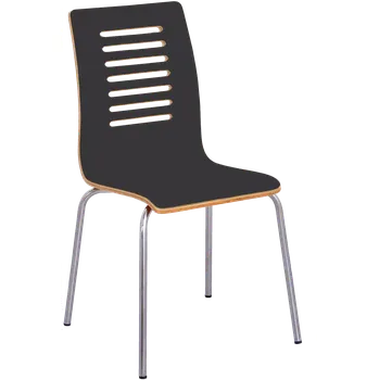 Jídelní židle CARMEN jídelní židle černá, kostra nerez