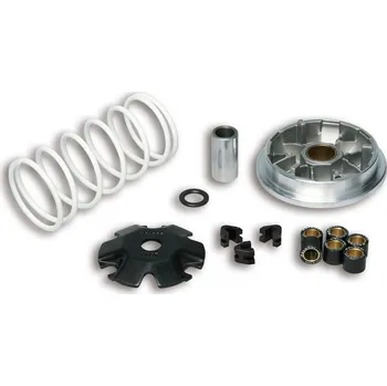 Auto-moto Malossi Variátor Multivar Sym 5114206