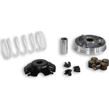 Auto-moto Malossi Variátor Multivar Bali 100 5111364