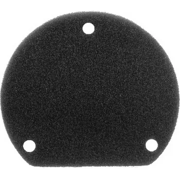 Motor pro motocykl RMS Vzduchový filtr variátoru Minarelli typ1 100600871