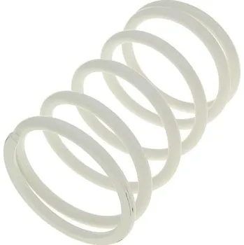 Motor pro motocykl Malossi Kontrastní pružina bílá 2912478.W0