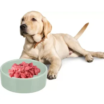 Miska pro psa TRIXIE Keramická miska Viviana s letokruhy a srdíčkem, šalvěj 1,4 l/ ø 20 cm