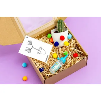 Gardners Dárková sada pro děti "Vyrob si bambulkový květináč"