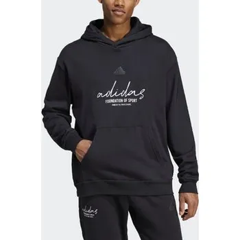 Pánská mikina adidas BL FT HD Q3 IW3533 M