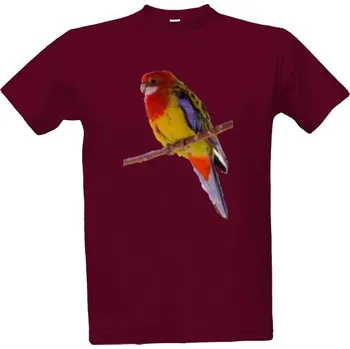 Pánská móda Tričko s potiskem Rozela pestrá pánské