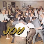 Joy As An Act Of Resistance - Idles [CD]