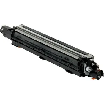 Developer Ricoh D1863052, black, originál