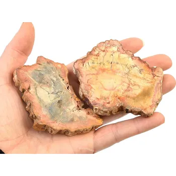 Přírodní kámen Zkamenělé dřevo leštěné velké (Madagaskar)