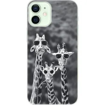 Pouzdro na mobilní telefon Odolné silikonové pouzdro iSaprio - Sunny Day - iPhone 12