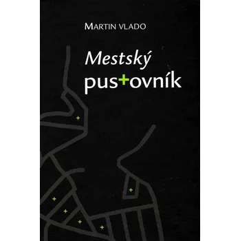 Mestský pustovník - Martin Vlado