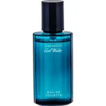 Davidoff Cool Water Toaletní voda 40 ml pro muže