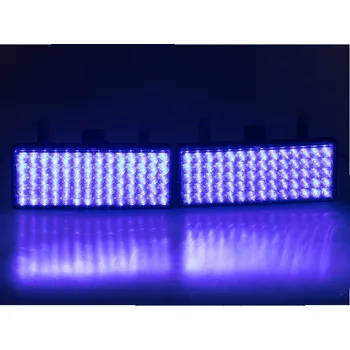 Maják x PREDATOR LED vnější, 12V, modrý (kf720blue)