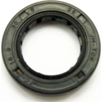 Motor pro motocykl Gufero 18.9x30x5 Stomp, DemonX, WPB