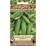 Moravo Seed Okurka nakládačka Fantasy…