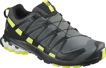 Pánská běžecká obuv Salomon XA Pro 3D V8 GTX L41118000