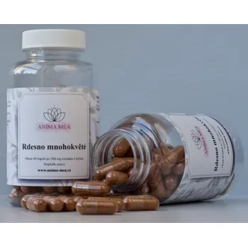 Přírodní produkt AnimaMea Rdesno mnohokvěté 500 mg 90 cps.