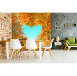 Malvis ® Tapeta Srdce z listí Vel. (šířka x výška): 504 x 310 cm