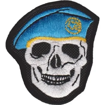 Nášivka NAVYS Nášivka lebka - světle modrý baret D-35