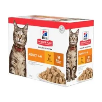 Pro kočku Hill's SP Cat Adult Chicken & Turkey kaps. 12x85g