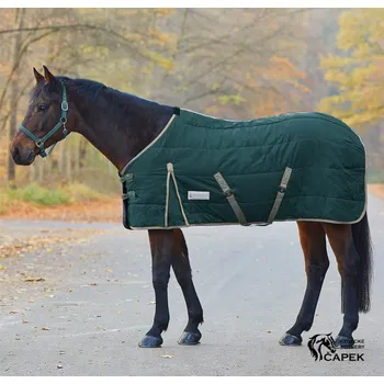 Deka pro koně Stájová deka Waldhausen -ECONOMIC ST 200G- - Zelená - 135cm