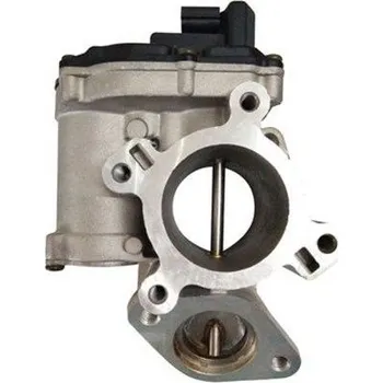 Ventil palivového systému AGR-Ventil MAGNETI MARELLI 571822112128