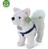 plyšák Rappa Akita Inu 29 cm