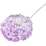 Chryzantéma vosková 14 cm 24 ks