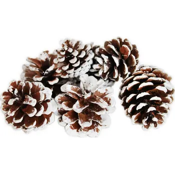 Vánoční dekorace Šišky natur 100g bílá