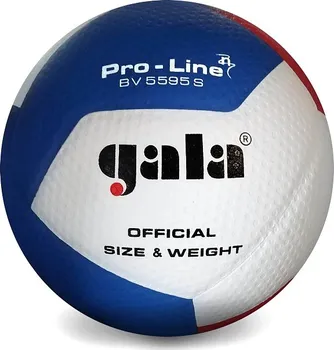 Volejbalový míč Gala Pro-Line BV5595S