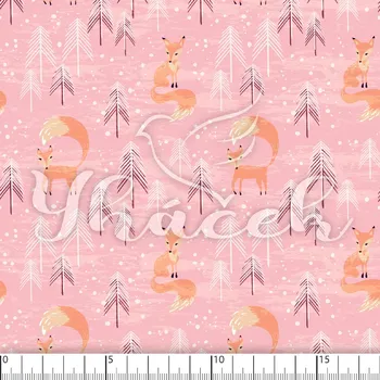 Kočárkovina, Lišky v zimě na růžové