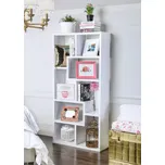 ASIR Knihovna ZEP bílá