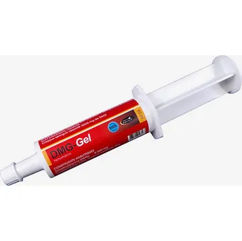 HORSE MASTER DMG Gel 60ml