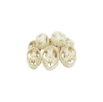 Vánoční dekorace Vánoční Dekorace Luffa bělěná 6 ks